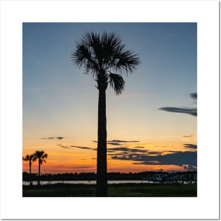 Palm Tree Sunset Posters and Art